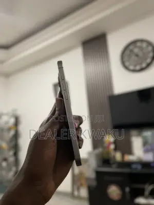 Apple iPhone 15 Pro Max 256 GB Gray