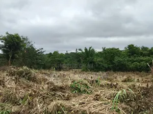 80 Acres of Farmland at Chiraa Ayiaem/Ghc15k Per Acre