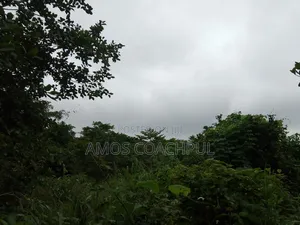 80 Acres of Farmland at Chiraa Ayiaem/Ghc15k Per Acre