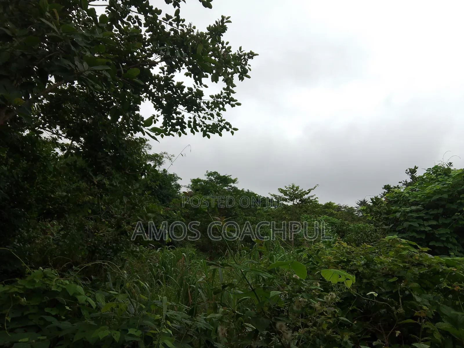 80 Acres of Farmland at Chiraa Ayiaem/Ghc15k Per Acre