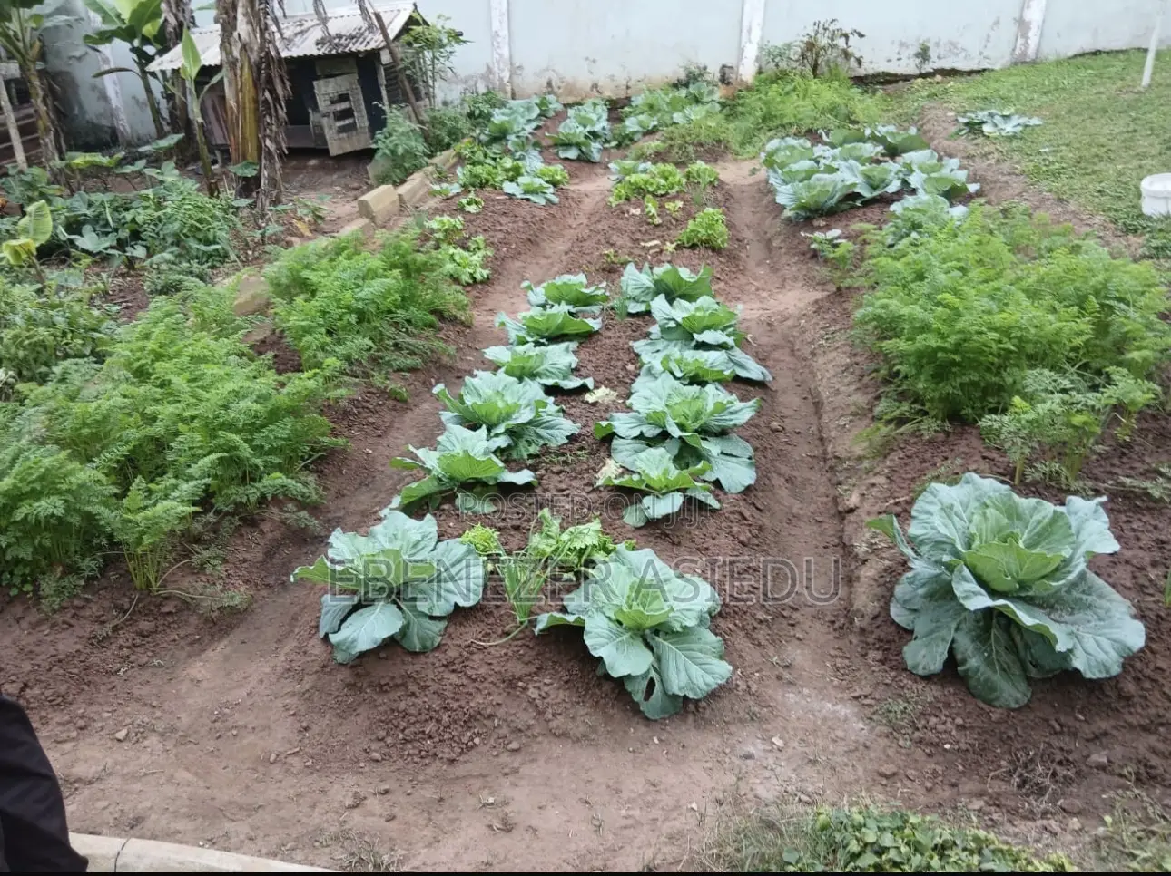 FarmNest GH-Backyard Container Farm Setup|Home Farming Solutions .