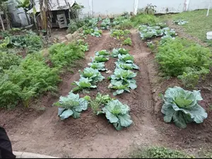 FarmNest GH-Backyard Container Farm Setup|Home Farming Solutions .