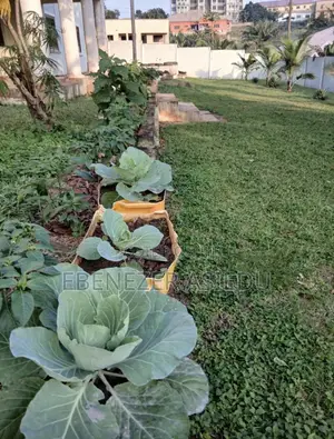 FarmNest GH-Backyard Container Farm Setup|Home Farming Solutions .