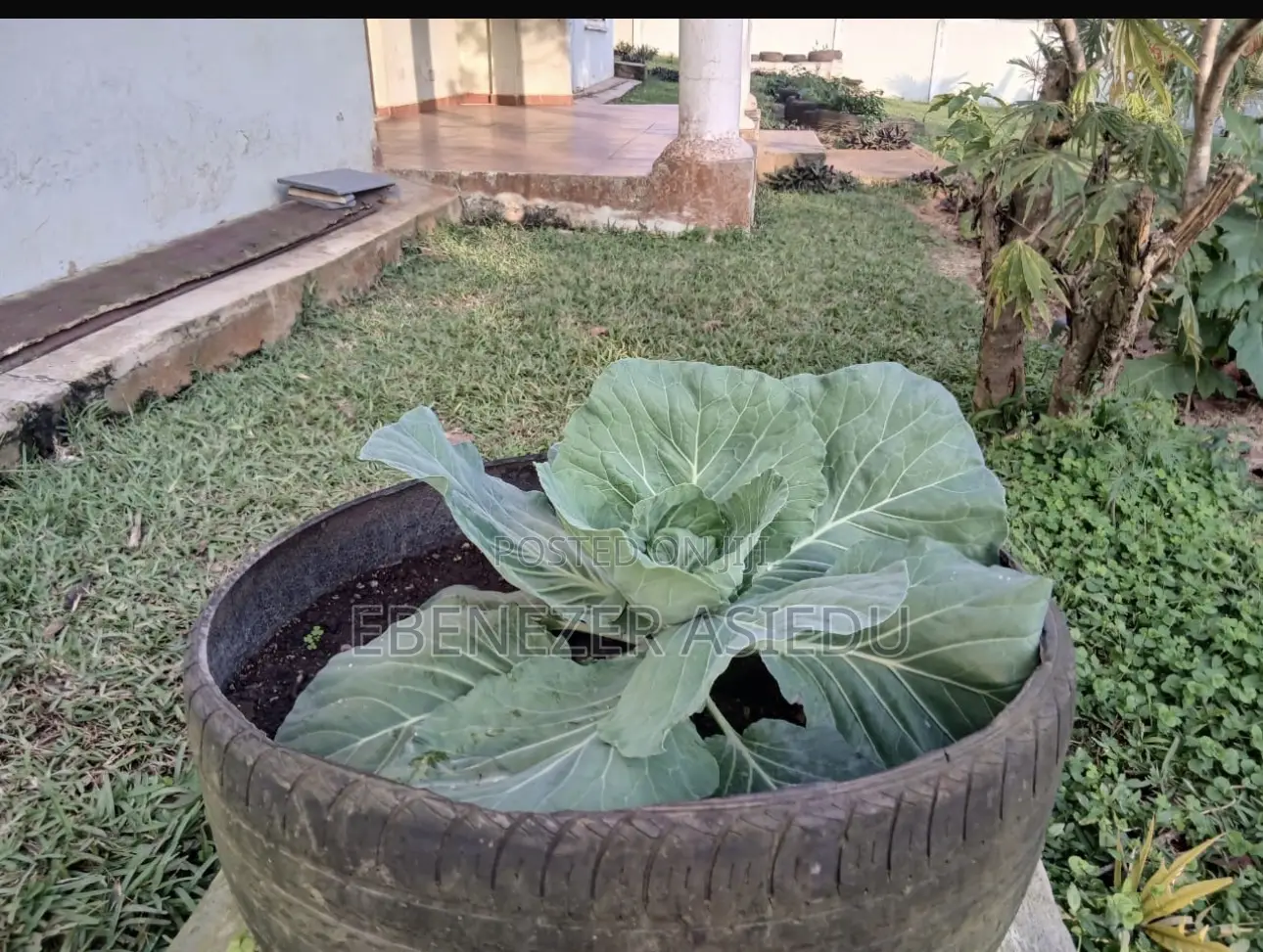 FarmNest GH-Backyard Container Farm Setup|Home Farming Solutions .