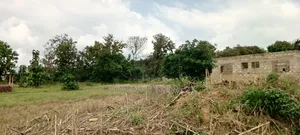 Plot of Land for Sale