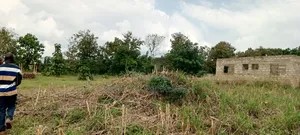 Plot of Land for Sale