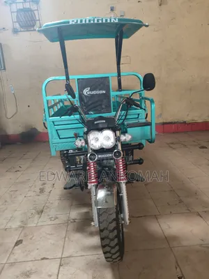 New Tricycle 2024 Beige