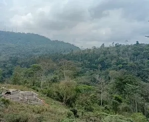 Titled Land for Sale