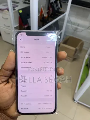 Apple iPhone 12 Pro 256 GB Gray