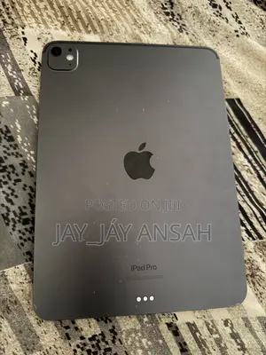 Apple iPad Pro 11 (2024) 256 GB Gray