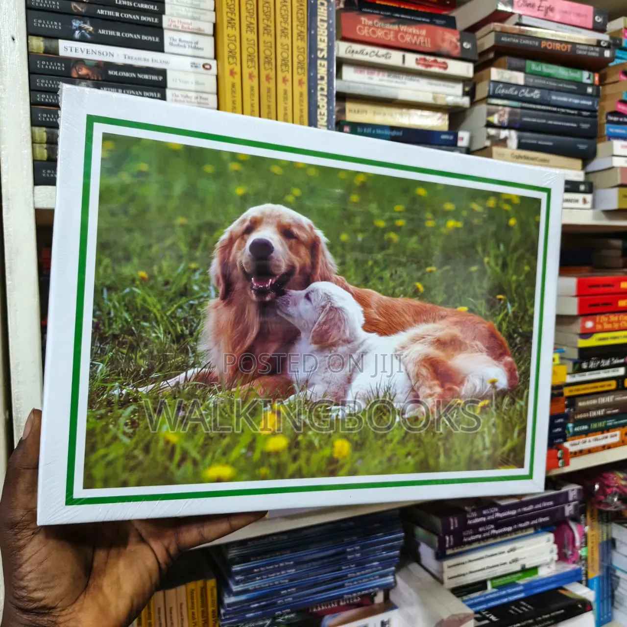 Jigsaw Puzzle