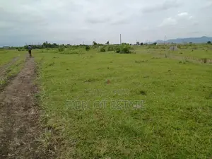 Your Chance to Own Land at Shai Hills