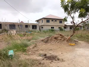 Elegant Half Plot - Kubekrom- Katamanso