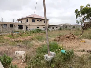 Elegant Half Plot - Kubekrom- Katamanso