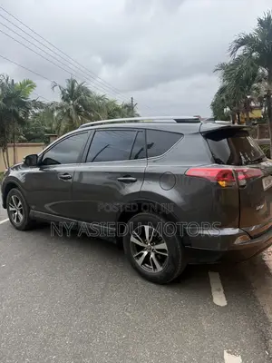 Toyota RAV4 Platinum AWD (2.5L 4cyl 6A) 2017 Gray