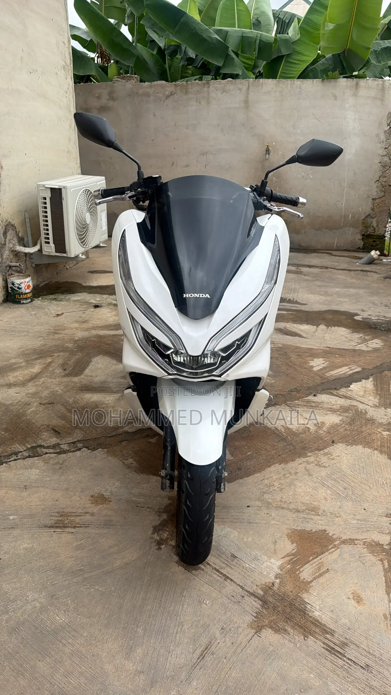 Honda 2022 White