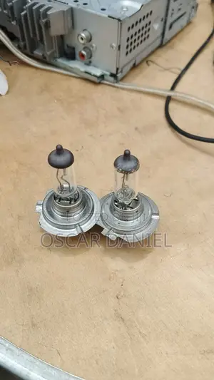 Original H7 Halogen Bulbs for All Cars Available
