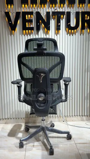Ergonomic/ Executive Office Chair With Massage