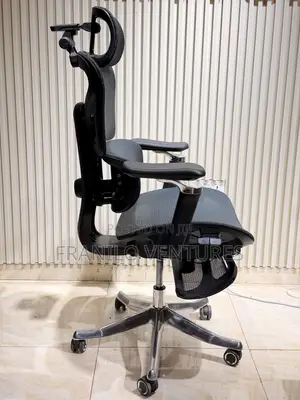 Ergonomic/ Executive Office Chair With Massage