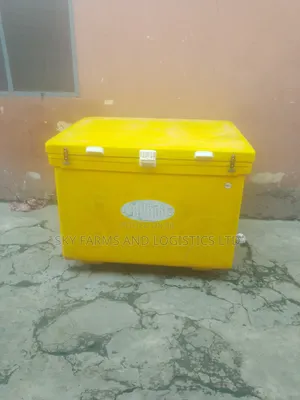 Commercial Ice Chest for Rent