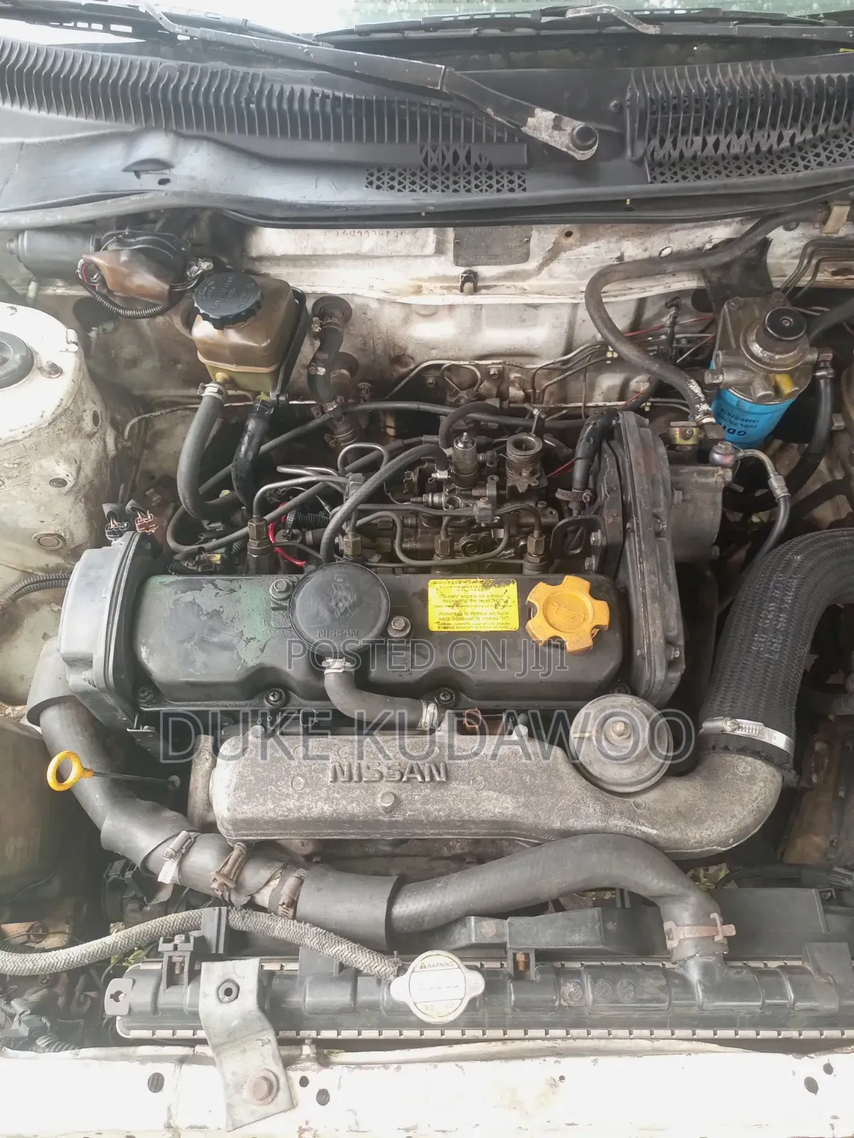 Nissan Sunny 2006 White