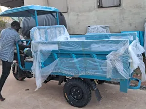 New Tricycle 2025 Blue