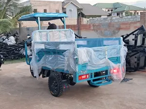 New Tricycle 2025 Blue