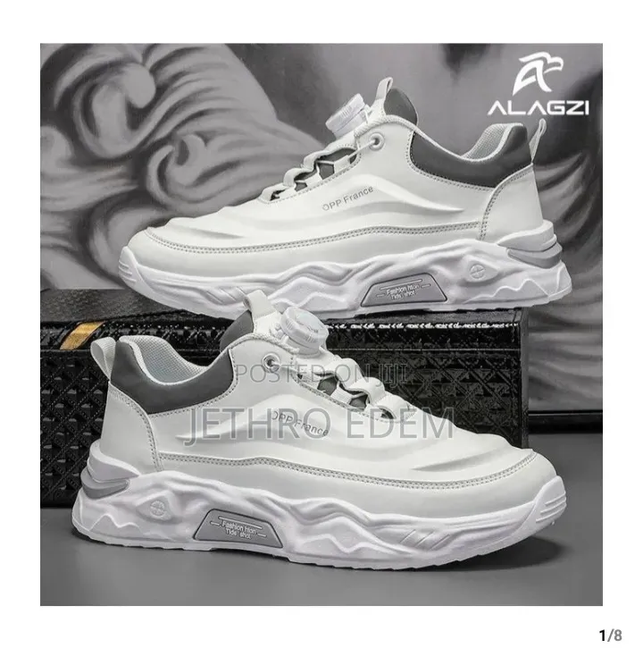 Shoe and Shet