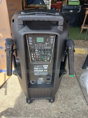 Rechargeable Speaker 15 Inches