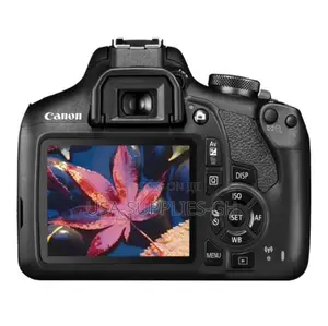 Canon EOS Rebel T7 DSLR Double Zoom Camera EF 75-300mm Lenses From USA