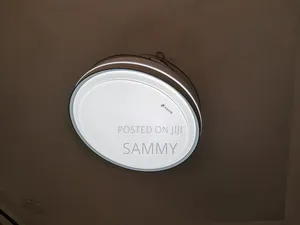 Ceiling Light Fan