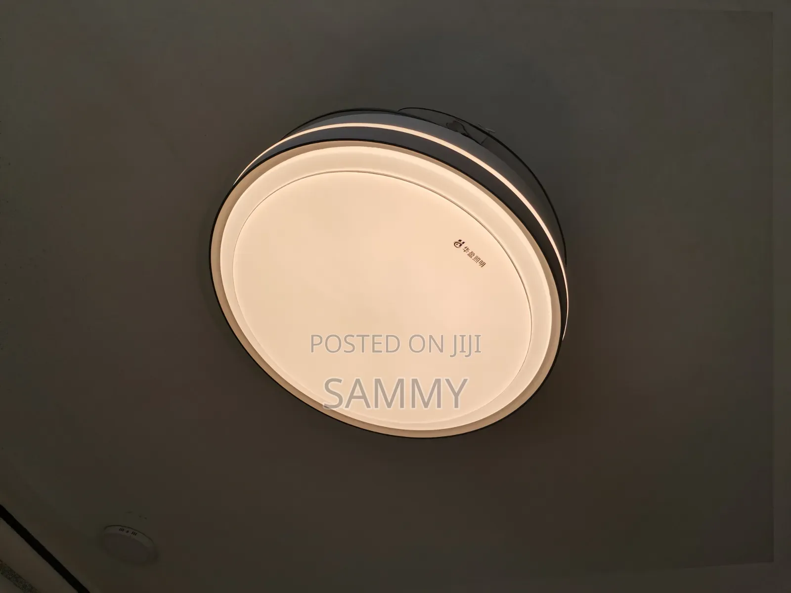 Ceiling Light Fan