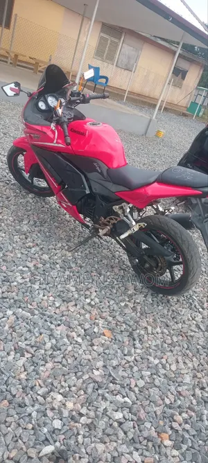 Kawasaki Ninja 300 2011 Red