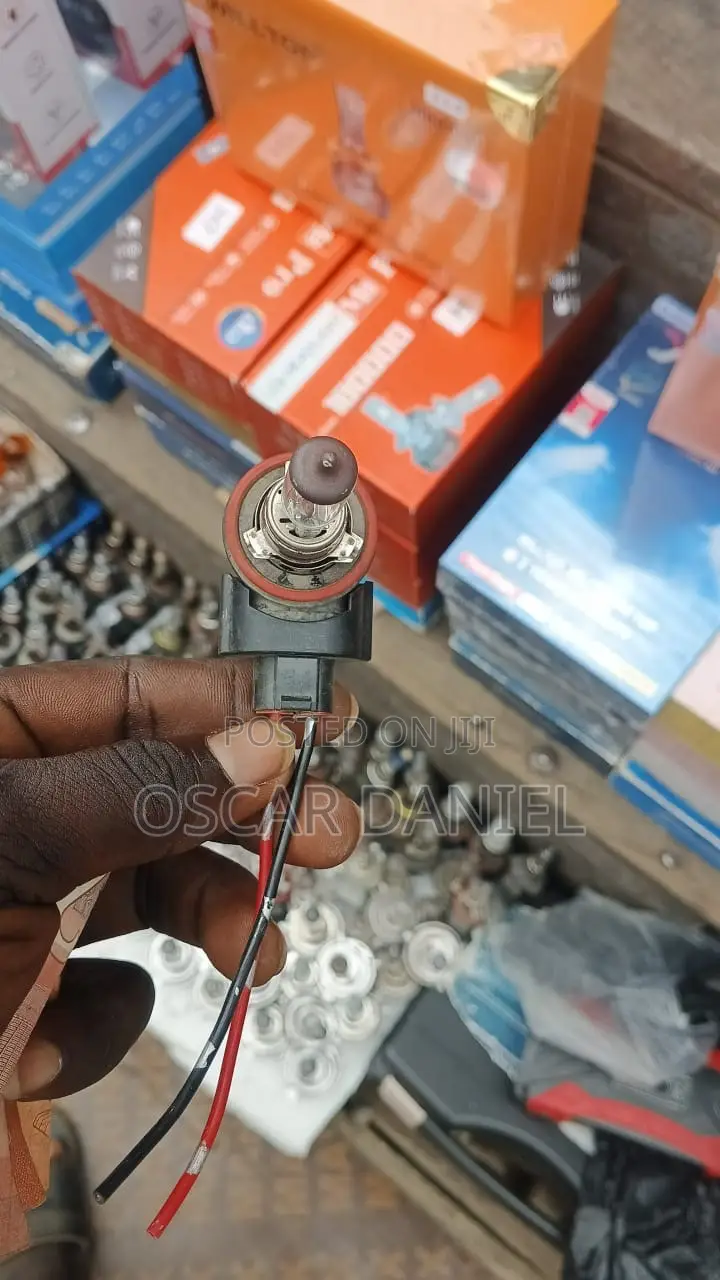 H11 Bulb Sockets Available