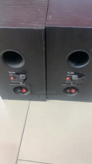 JBL TLX 300 Loud Speakers