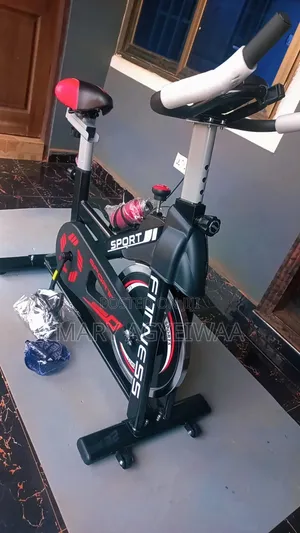 Manual Gym Bike