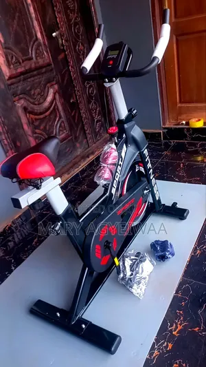 Manual Gym Bike