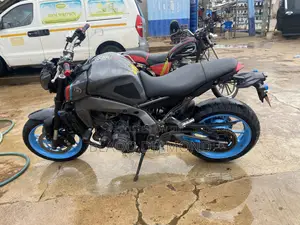Yamaha FZ 2023 Gray