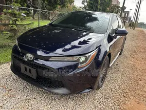 Toyota Corolla LE 2020