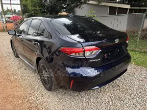 Toyota Corolla LE 2020