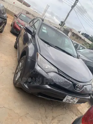 Toyota RAV4 XLE AWD (2.5L 4cyl 6A) 2017 Gray