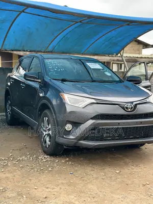 Toyota RAV4 LE 4dr SUV AWD (2.5L 4cyl 6A) 2018 Gray