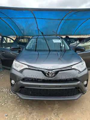Toyota RAV4 LE 4dr SUV AWD (2.5L 4cyl 6A) 2018 Gray