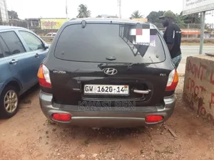 Hyundai Santa Fe 2005 Gray