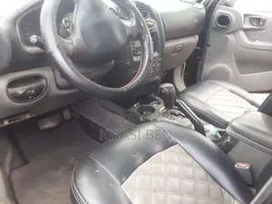 Hyundai Santa Fe 2005 Gray