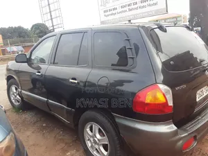 Hyundai Santa Fe 2005 Gray