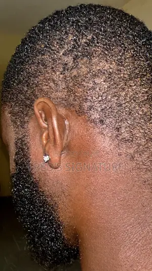 Realistic Magnetic Earring