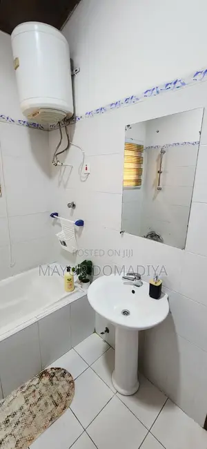 Cozy 1 BR Furnished Apartment With Private Bath