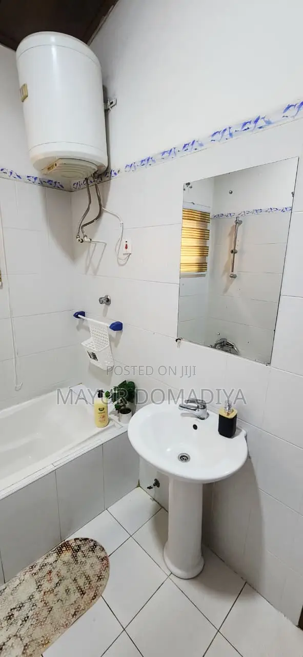 Cozy 1 BR Furnished Apartment With Private Bath
