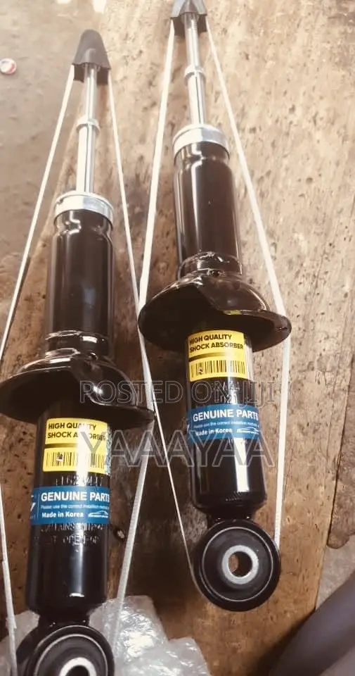 Mitsubishi Outlander Back Shocks